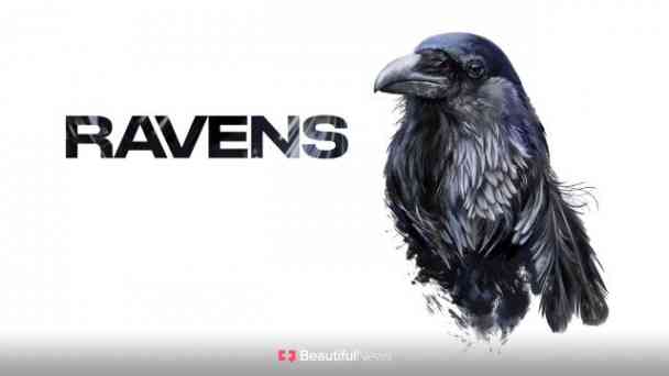 Beautiful News: Ravens kostenlos streamen | dailyme
