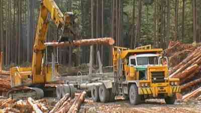 Truckworld - s2 | e11 - Holztransport in Kanada kostenlos streamen | dailyme