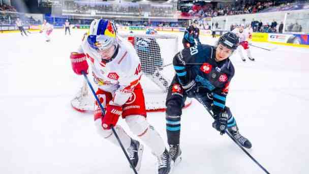 Champions Hockey League - s1 | e7 - Game Day 6 - Red Bull Salzburg vs Lahti Pelicans [ENG] kostenlos streamen | dailyme