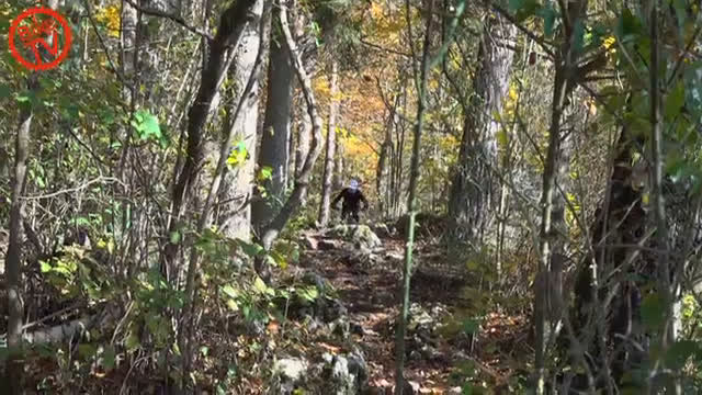 Episode 504 - Tests: Santa Cruz Vala AL 70, Unit1 Neon Mips Smarthelm