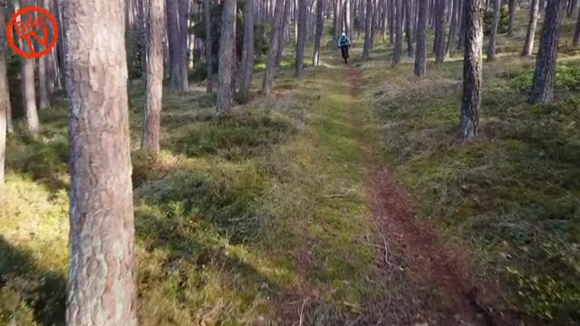 Episode 506 - Tests: Focus Jam2 6.9, Shimano Cues qAuto