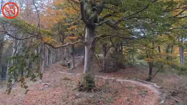 Episode 503 - Test: Conway Xyron ST 6.0, Report: Nedbank Gravel Burn kostenlos streamen | dailyme