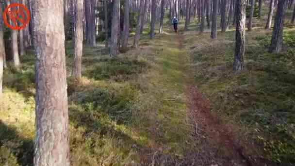 Episode 506 - Tests: Focus Jam2 6.9, Shimano Cues qAuto kostenlos streamen | dailyme