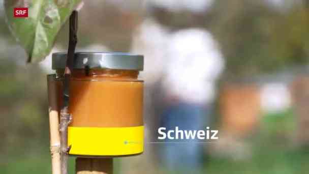 Täuschung im Glas: Gefälschter Honig kommt durch Laborkontrollen kostenlos streamen | dailyme