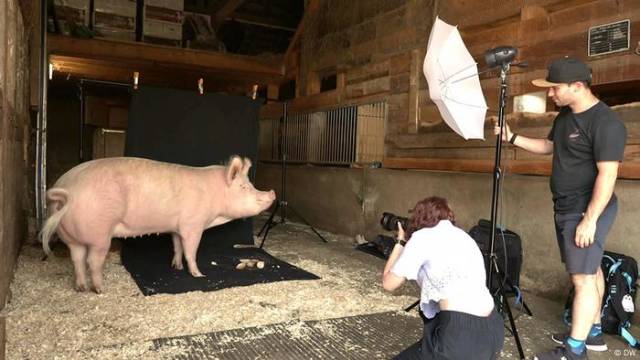 Fotos für einen besseren Umgang mit Tieren