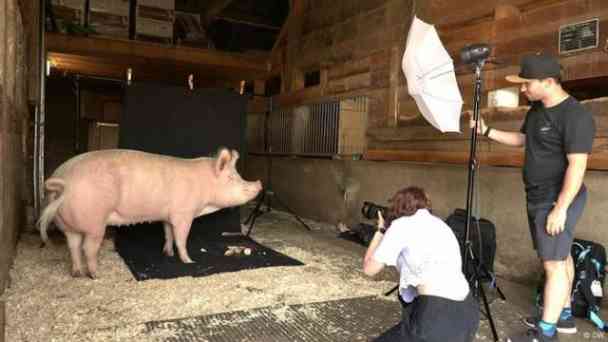 Fotos für einen besseren Umgang mit Tieren kostenlos streamen | dailyme