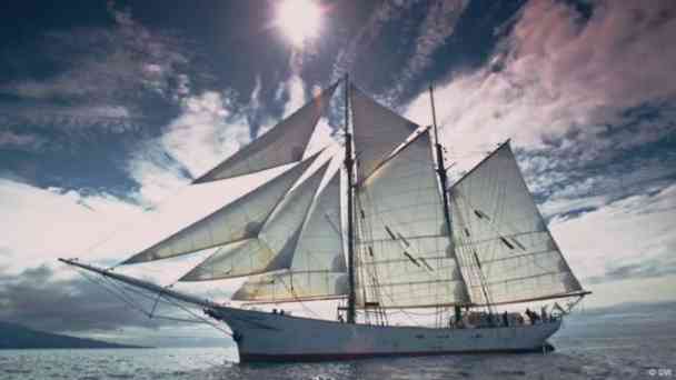 Kaffeetransport per Segelschiff: Eine nachhaltige Option? kostenlos streamen | dailyme