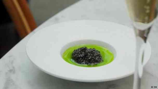 Delikatesse fürs gute Gewissen: Nachhaltiger Kaviar kostenlos streamen | dailyme