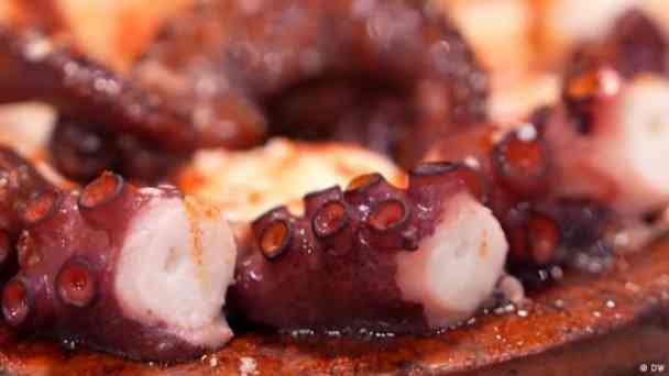 Kann man Oktopus mit gutem Gewissen essen? kostenlos streamen | dailyme