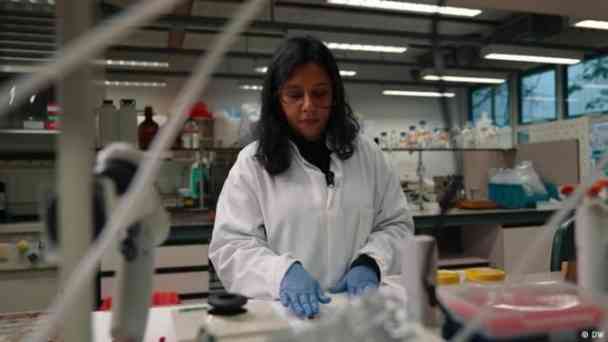 Shaakira Jassat: Wie aus Eierschalen Design wird kostenlos streamen | dailyme