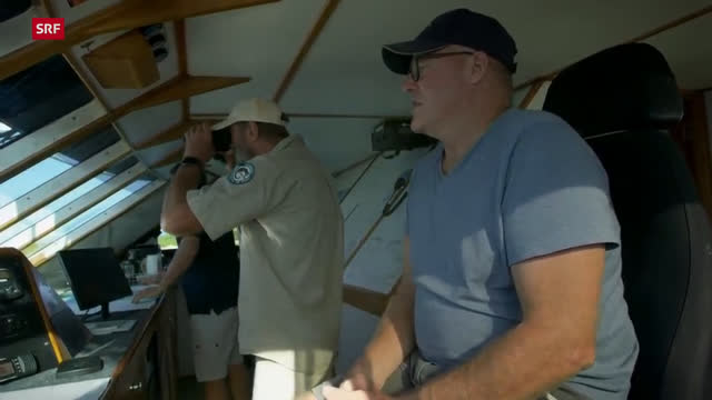 Die Wächter des Great Barrier Reef – Die Schildkröten von Raine Island