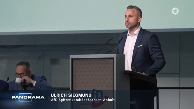 Machtübernahme: Die Pläne der AfD Sachsen-Anhalt