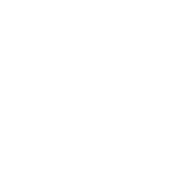 Flying Media jetzt auf Deinem Smartphone schauen | dailyme