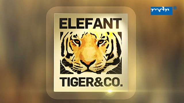 MDR - Elefant, Tiger & Co kostenlos streamen | dailyme