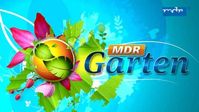 MDR - Garten kostenlos streamen | dailyme