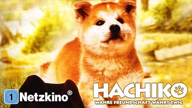 Hachiko - Wahre Freundschaft währt ewig kostenlos streamen | dailyme