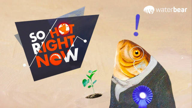 WaterBear - So Hot Right Now kostenlos streamen | dailyme