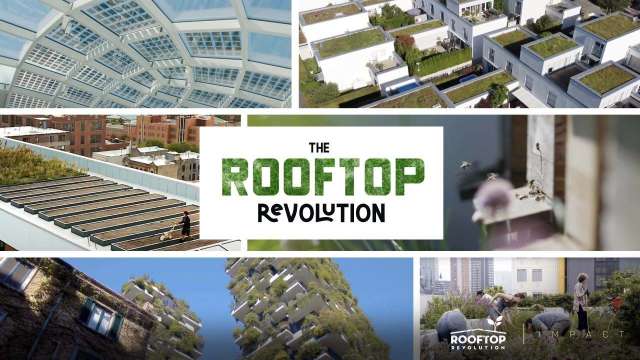 WaterBear - The Rooftop Revolution kostenlos streamen | dailyme
