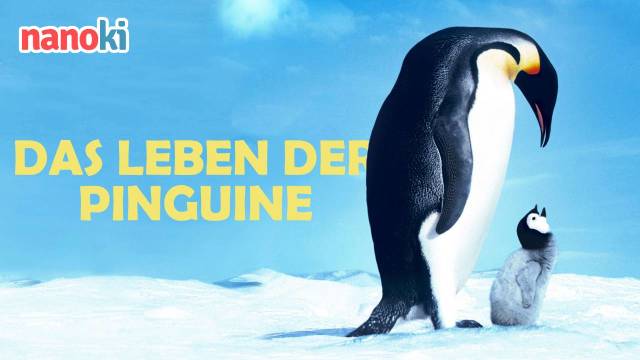 Das Leben der Pinguine kostenlos streamen | dailyme