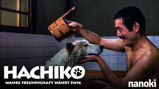 Hachiko – Wahre Freundschaft währt ewig kostenlos streamen | dailyme