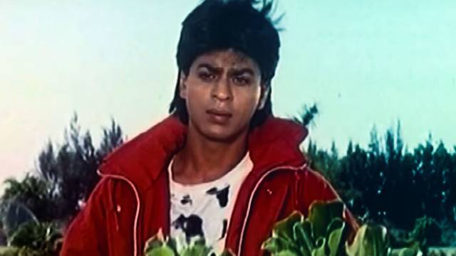 Der Wendekreis der Liebe