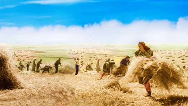 Harte Arbeit - Reiche Ernte