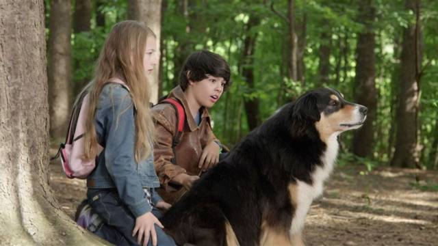Bark Ranger - Mein Hund Der Held