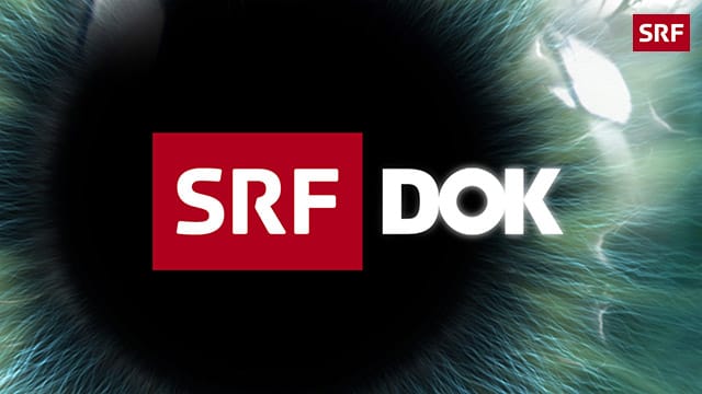 SRF - DOK kostenlos streamen | dailyme