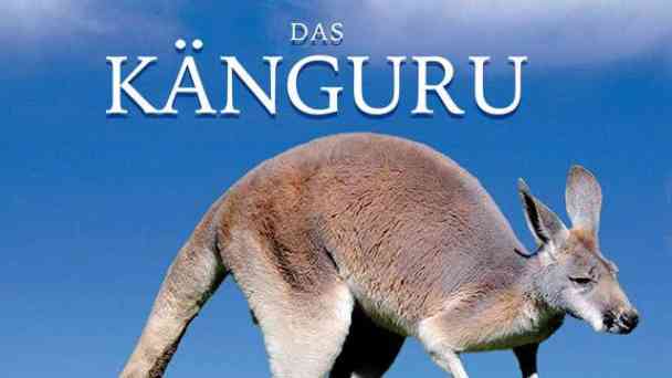 Das Känguru kostenlos streamen | dailyme