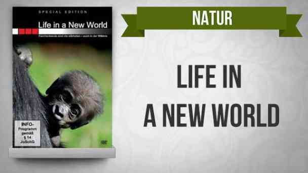 Life in a New World kostenlos streamen | dailyme