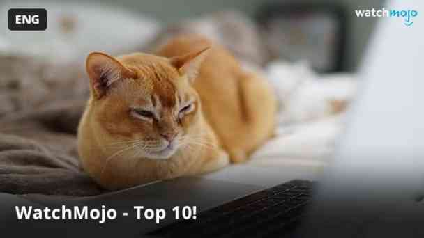 WatchMojo - Top 10! (engl.) kostenlos streamen | dailyme