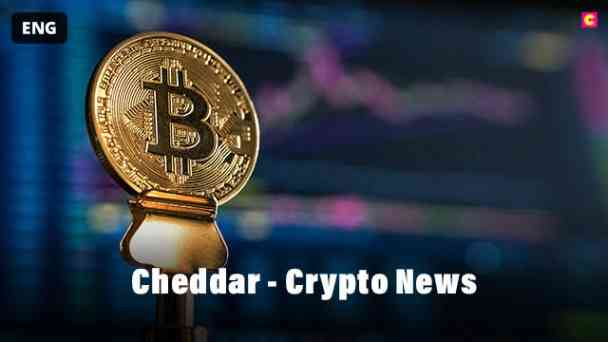 Cheddar - Crypto kostenlos streamen | dailyme