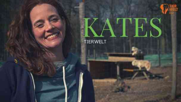 TIERWELT Live - Kates Tierwelt kostenlos streamen | dailyme