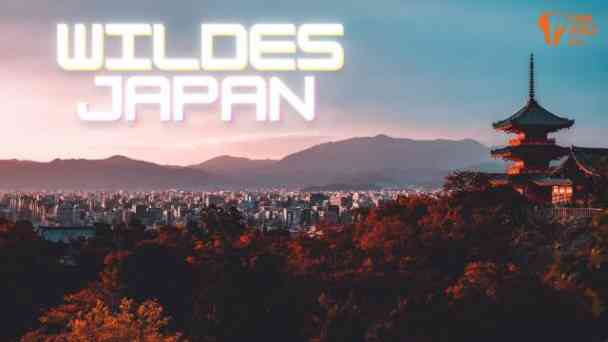 TIERWELT Live - Wildes Japan kostenlos streamen | dailyme