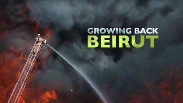 WaterBear - Growing Back Beirut kostenlos streamen | dailyme