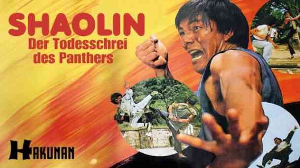 Shaolin - Der Todesschrei des Panthers kostenlos streamen | dailyme