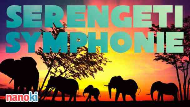 Serengeti Symphonie kostenlos streamen | dailyme