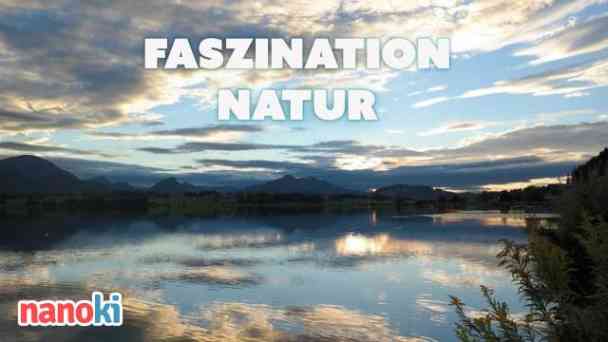 Faszination Natur in HD kostenlos streamen | dailyme