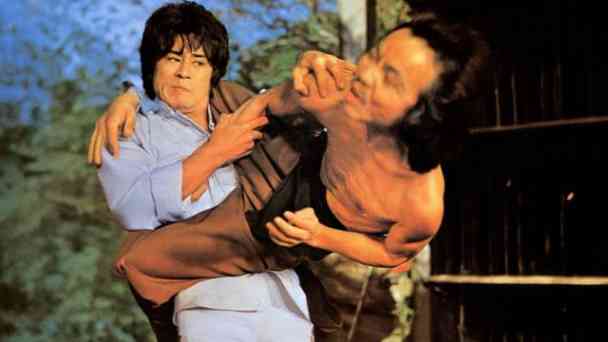 Shaolin Kung-Fu - Vollstrecker der Gerechtigkeit kostenlos streamen | dailyme