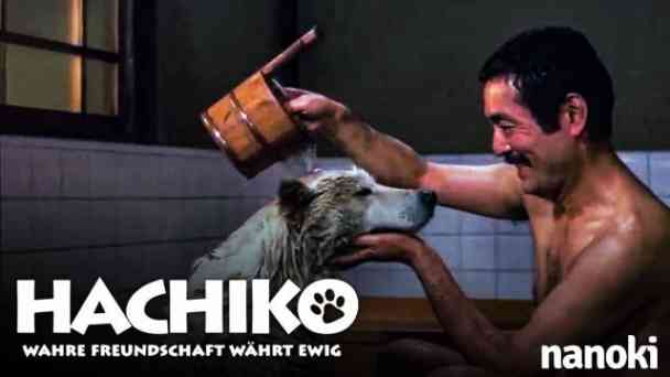 Hachiko – Wahre Freundschaft währt ewig kostenlos streamen | dailyme