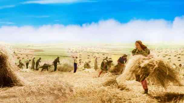 Harte Arbeit - Reiche Ernte kostenlos streamen | dailyme