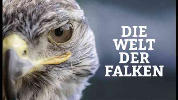 Die Welt der Falken kostenlos streamen | dailyme